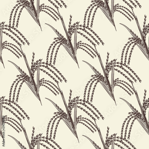 Hand drawn rice grain seamless pattern. Rice ear wallpaper.