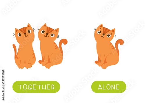 Flashcard With Antonyms For Children Vector Template Opposites Concept Together And Alone Word Card For Foreign Language Studying Two Cats And Lonely Kitten Flat Illustration With Typography Stock Vector Adobe Stock