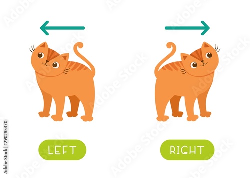 Funny educational flashcard with antonyms vector template. Opposites concept, left and right. Word card for language learning. Cat looking in different directions flat illustration with typography
