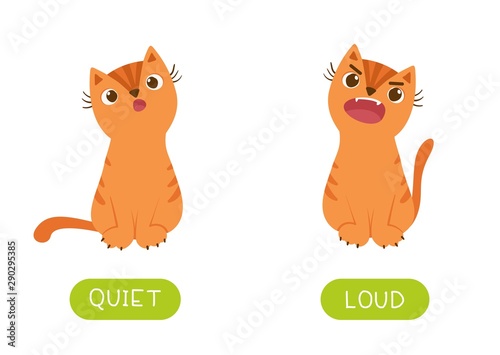 Educational antonyms word card with cats vector template. Opposites concept, quiet and loud. Funny flashcard for foreign language studying. Cute meowing kitten flat illustration with typography