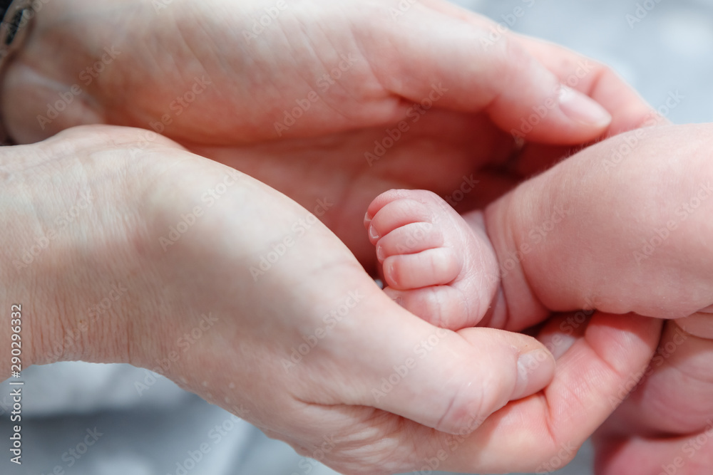 Newborns. Children's legs in the palm of your hand. Close-up. Newborns. Children's legs in the palm of your hand. Close-up.