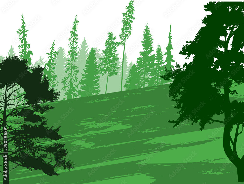 green illustration with fir forest