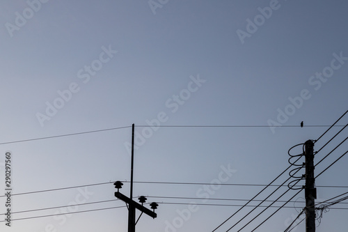 Silhouette of an electric pole and a bird facing the right, perched on an electric wire