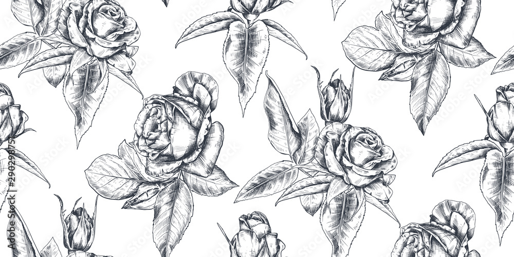 Vector seamless pattern with hand drawn rose flowers and leaves on white. Vector seamless pattern with hand drawn rose flowers and leaves on white.