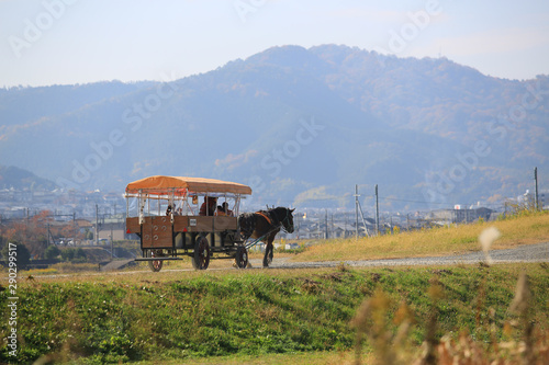 japan rural scenes