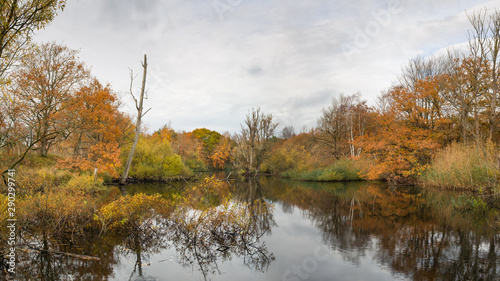 Pond in a forest in autumn colors