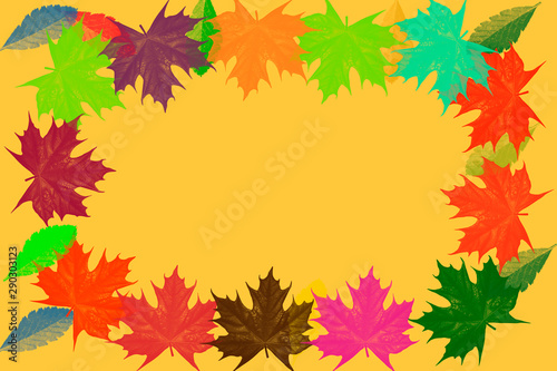 autumn  background of colored maple leaves  again to school  maple leaf  autumn fall leaves from trees
