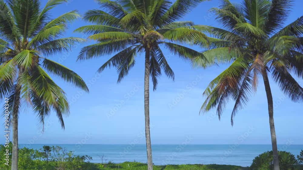Beautiful wild island beach and palms Phuket Thailand sea and white sand and blue sky and beach loungers. Amazing summer travel vacation beach background. Turquoise sea water and coconut tree Beautiful wild island beach and palms Phuket Thailand sea and white sand and blue sky and beach loungers. Amazing summer travel vacation beach background. Turquoise sea water and coconut tree