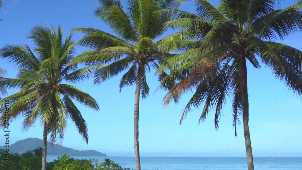 Beautiful wild island beach and palms Phuket Thailand sea and white sand and blue sky and beach loungers. Amazing summer travel vacation beach background. Turquoise sea water and coconut tree Beautiful wild island beach and palms Phuket Thailand sea and white sand and blue sky and beach loungers. Amazing summer travel vacation beach background. Turquoise sea water and coconut tree