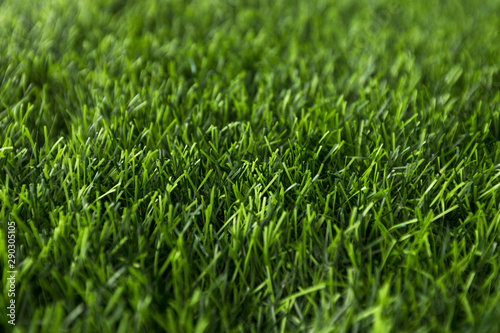 Green grass background with sun shadow, copy space