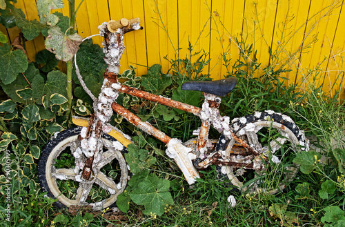 Vieux vélo recouvert de coquillage photo