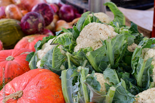 farmers market different types of pumpkins, zucchini, red pepper, cabbage. organic vegetables new harvest, market in Italy Tuscany Florence, vegan food , pumpkins halloween. selective focus