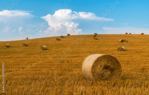 Countryside landscape with bales of hay and blue sky 