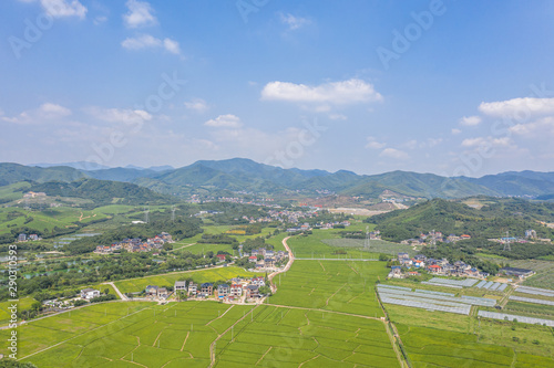 farm in hangzhou china
