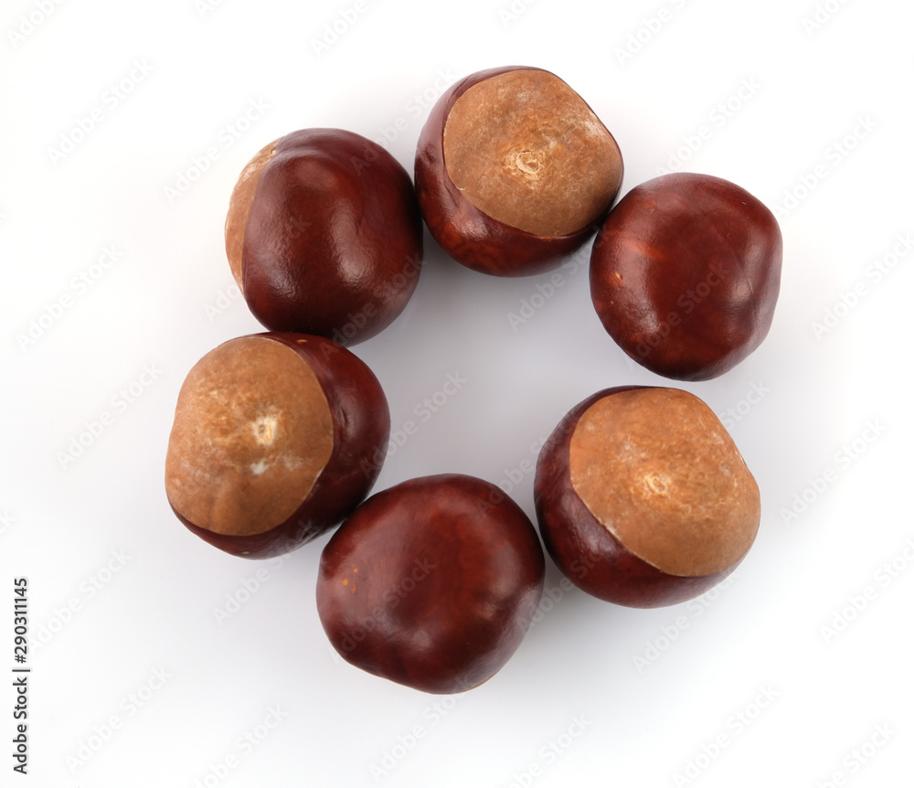 chestnuts on a white background chestnuts on a white background