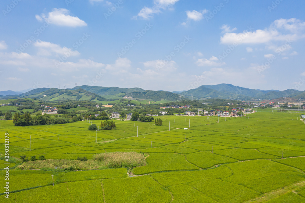 Obraz premium farm
