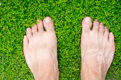 man's feet standing on grass (Desmodium triflorum) photo