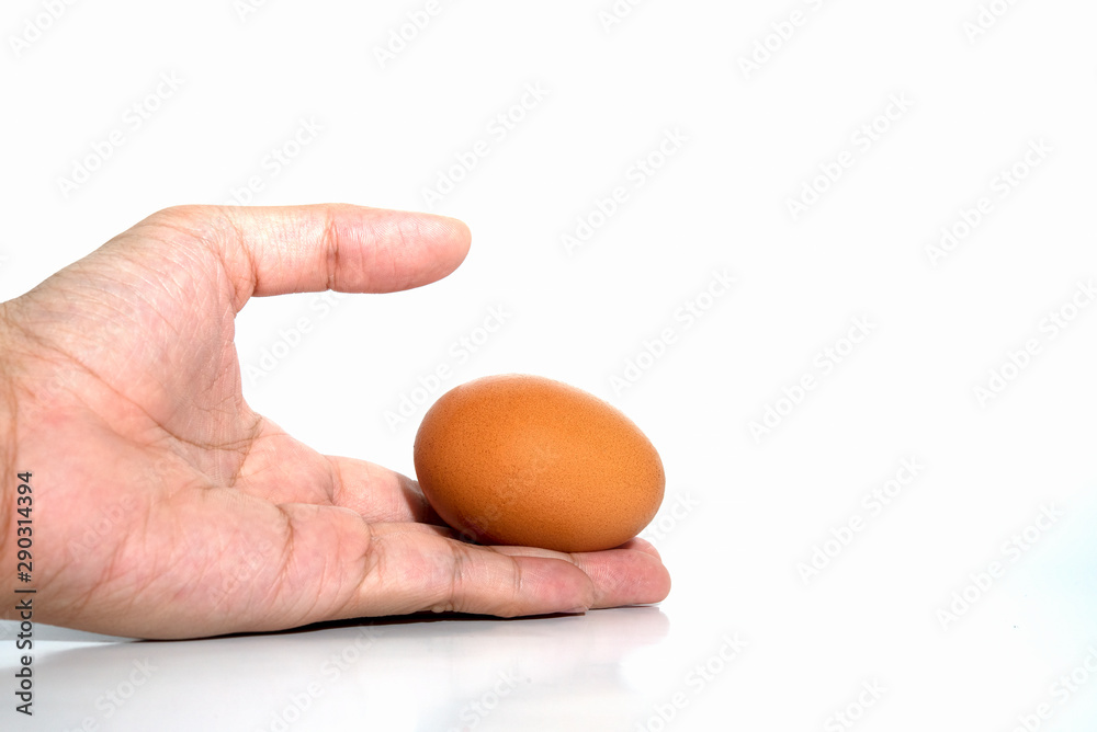Human hand with brown egg isolated in white background with clipping path Human hand with brown egg isolated in white background with clipping path