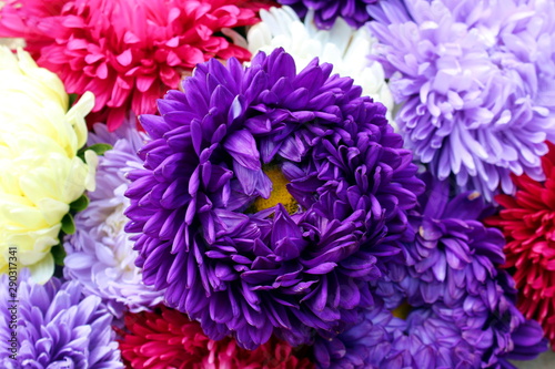 texture aster bouquet in the middle one lilac bud