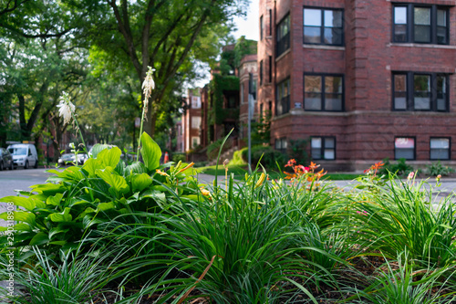 Small Corner Garden next to a Street with Residential Buildings in Andersonville Chicago