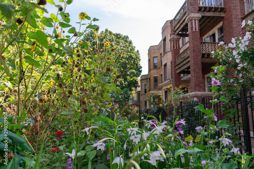 Beautiful Garden in front of a Row of Old Homes in Andersonville Chicago