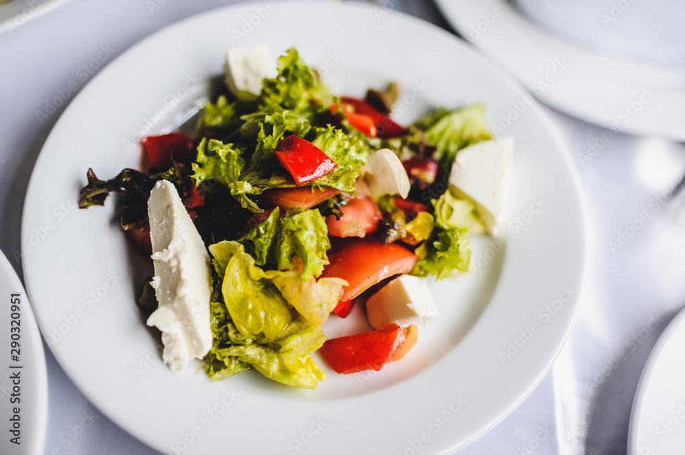 Gourmet salad in a white plate. Slices of cheese, tomato, lettuce..White plate on white table. Food. Holiday. Food. Gourmet salad in a white plate. Slices of cheese, tomato, lettuce..White plate on white table. Food. Holiday. Food.