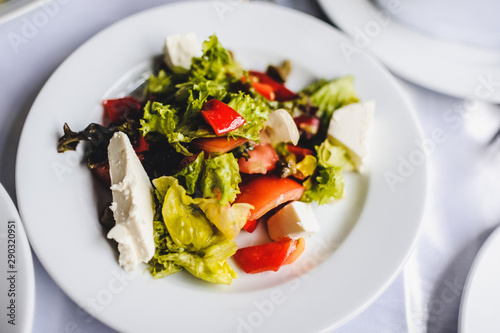 Gourmet salad in a white plate. Slices of cheese, tomato, lettuce..White plate on white table. Food. Holiday. Food.