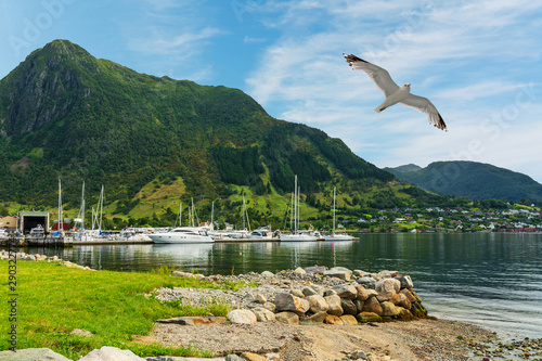 Rosendal rural town, yachr marina and mountain fjord sea view, Norway
