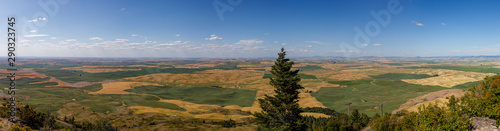 Panoramic View from Steptoe Butte State Park, Washington photo