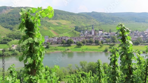 Cityscape of Bruttig-Fankel at Moselle River. Vineyard landscape. photo