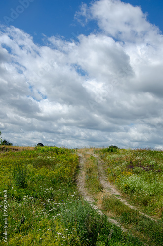 summer rural landscape with a blossoming meadow  road and clouds