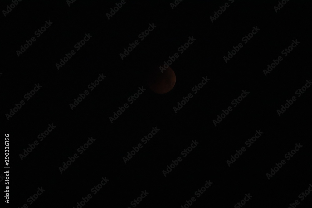 blood moon in the sky blood moon in the sky