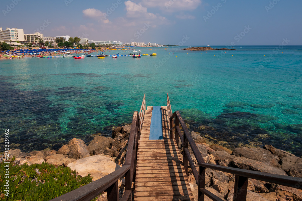 Fototapeta premium Fig Tree Bay