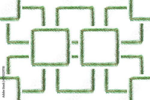 Sprigs of blue spruce are lined with squares in horizontal rows on a white background.