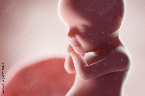 3d rendered medically accurate illustration of a human fetus - week 30