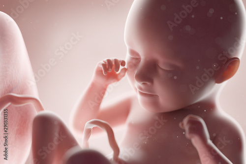 Photo 3d rendered medically accurate illustration of a human fetus - week 35