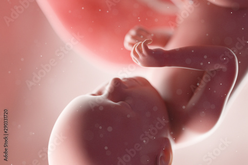 3d rendered medically accurate illustration of a human fetus - week 39
