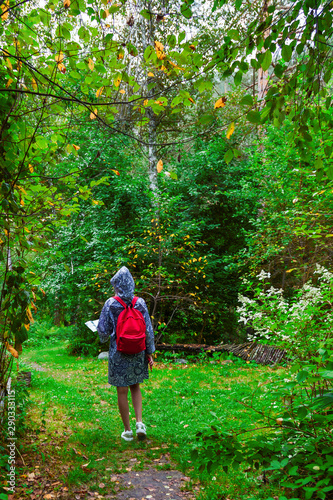 A view from the back of a young blonde girl in a blue raincoat with a red backpack on her back, a phone in her hand walks along a path and looking to the map in a park or forest. Travelling in wild.