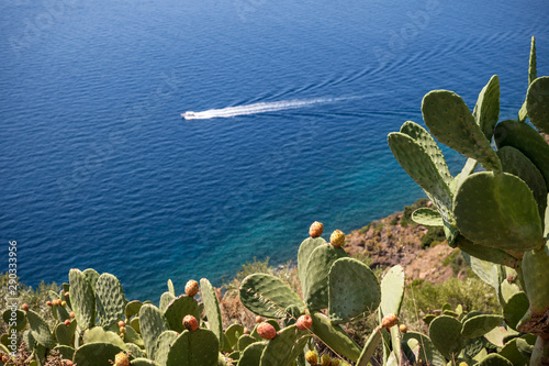 boat wake on water with prickly pears in the foreground on the island of Salina in Sicily photo