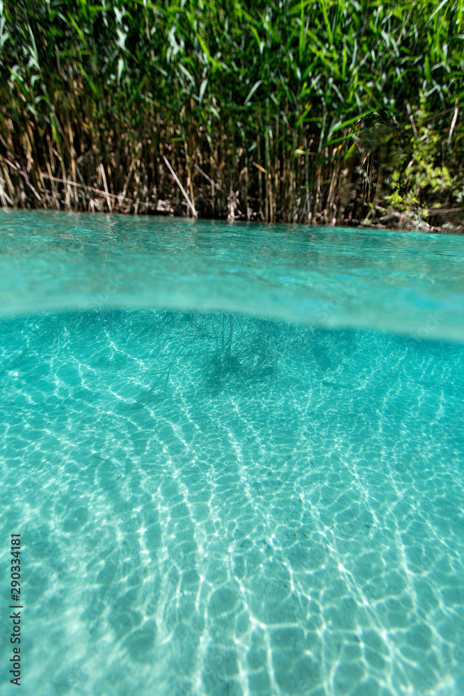 underwater world of Plitvice Lakes, Croatia underwater world of Plitvice Lakes, Croatia