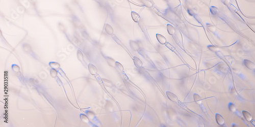 3d rendered illustration of human sperm photo