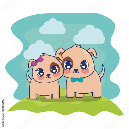 cute dogs couple characters vector illustration