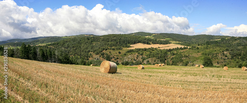 Champs en Ardèceh