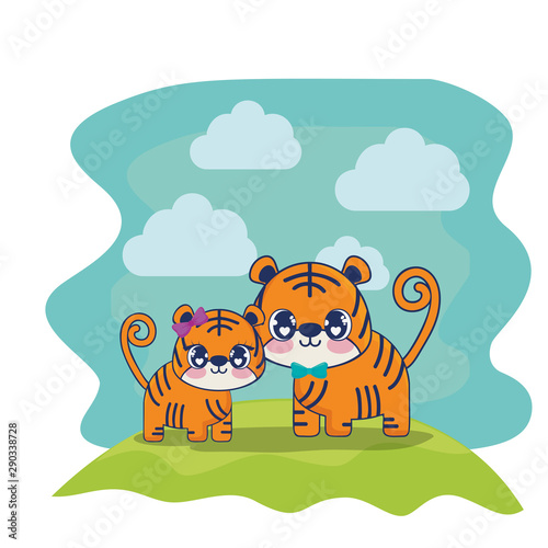 cute tigers couple characters vector illustration