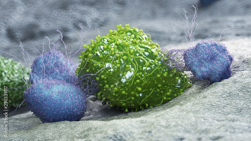 3d rendered medically accurate illustration of a cancer cell being attacked by leukocytes