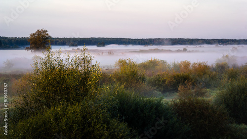 Poranne mgły w Dolinie Narwi, Podlasie, Polska