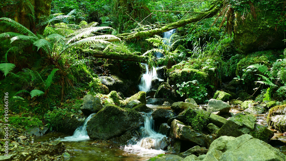 Beautiful natural waterfall between the vegetation and the stones of the forest Beautiful natural waterfall between the vegetation and the stones of the forest