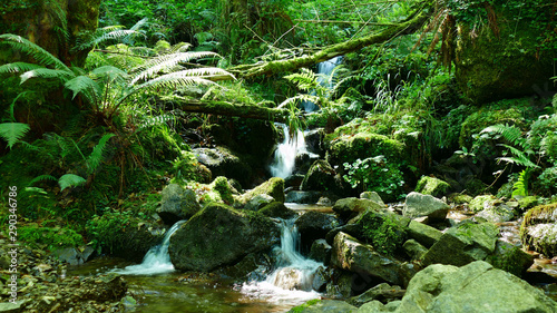 Beautiful natural waterfall between the vegetation and the stones of the forest