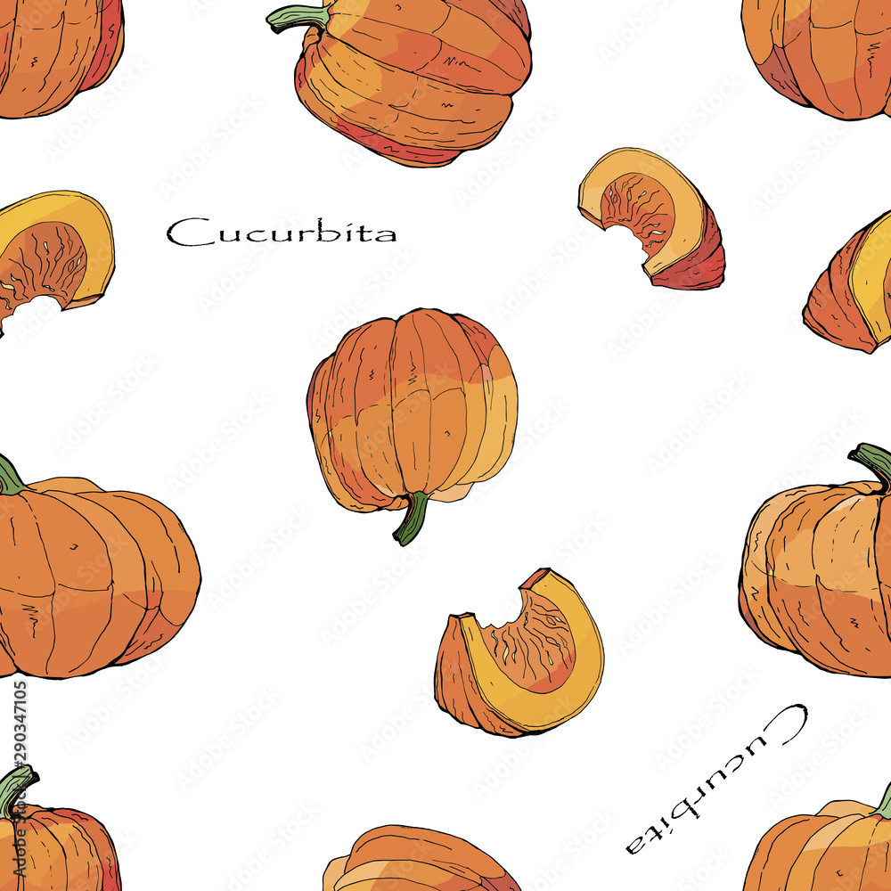 seamless background of vector isolated pictures of whole pumpkins and pieces, doodles  