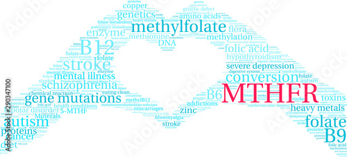 MTHFR Word Cloud on a white background.  © arloo